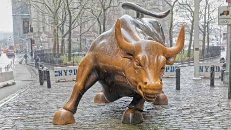 Charging Bull in Lower Manhattan New York