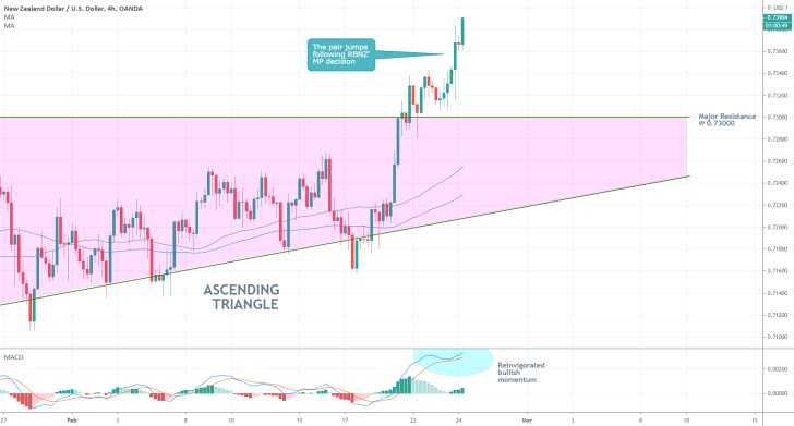 NZDUSD 4H Price Chart