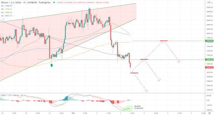 Bitcoin 1H Price Chart