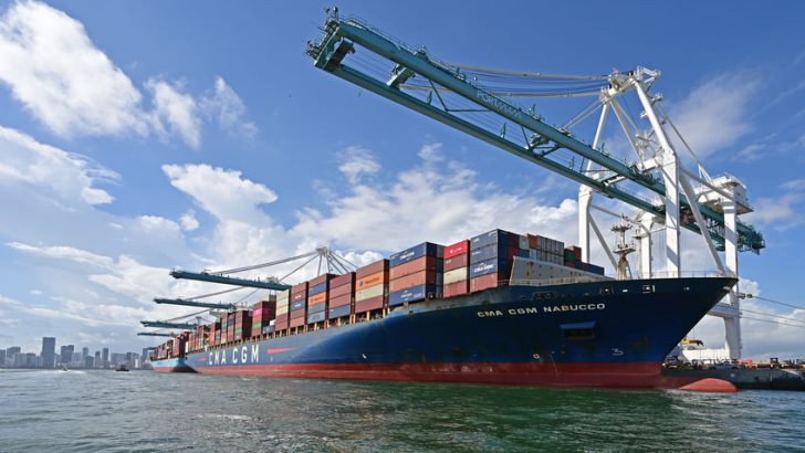 Container ship loads cargo containers under gantry cranes at Port Miami