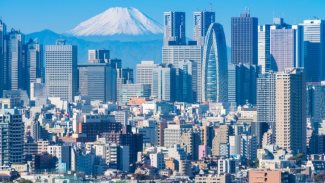 Tokyo city and Fuji mountain